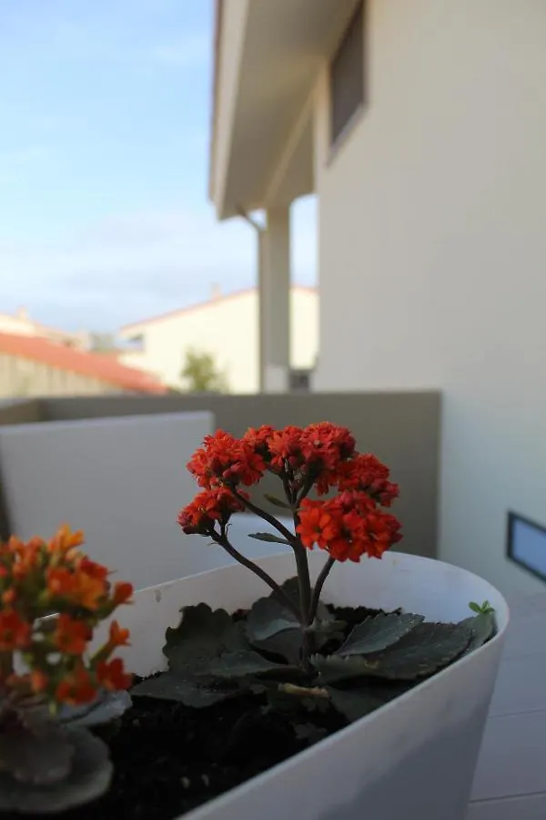Guest house Costeras Hotel Cabras